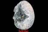 Crystal Filled Celestine (Celestite) Egg Geode - Large Crystals! #88297-1